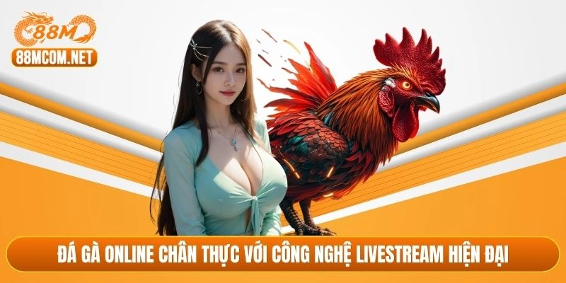 Đá gà online chân thực với công nghệ livestream hiện đại