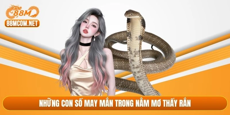 Những con số may mắn trong nằm mơ thấy rắn